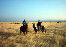 USA-Texas-Panhandle Bar H Ranch